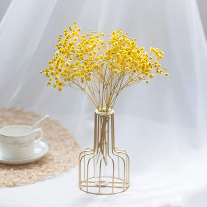 Mini Natural Gypsophila Dried Flowers Pampas Grass Dry Flowers Home