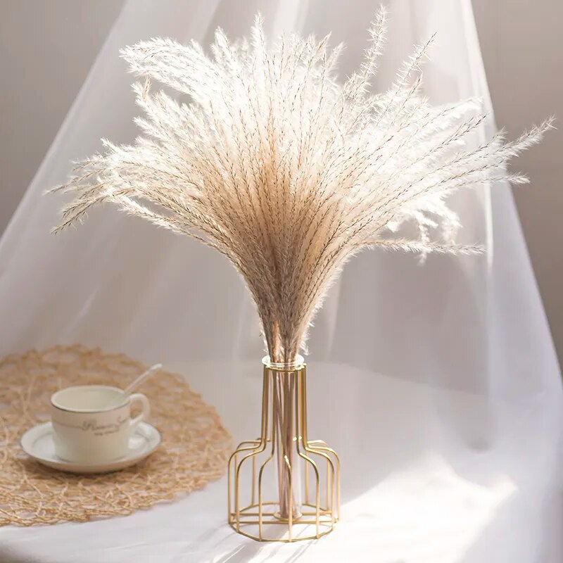 Mini Natural Gypsophila Dried Flowers Pampas Grass Dry Flowers Home